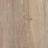 Mflor 72133 Reservoir oak Lyn 20-03 - Thumbnail Image 3